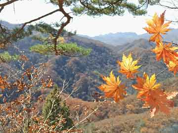 最新星力平臺,???最新星力平臺，玩轉(zhuǎn)潮流前沿！???