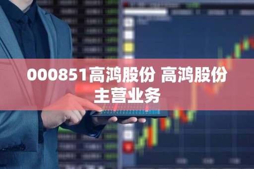 高鴻股份最新消息,高鴻股份最新消息，鑄就數(shù)字時代的領(lǐng)航者