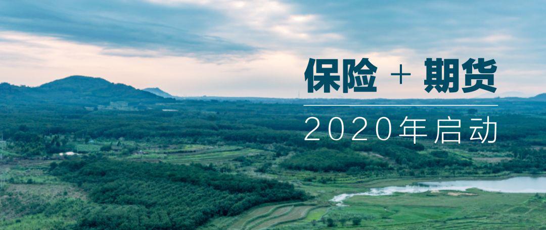 天然橡膠期貨最新動(dòng)態(tài)，探索自然美景的鼓舞之旅