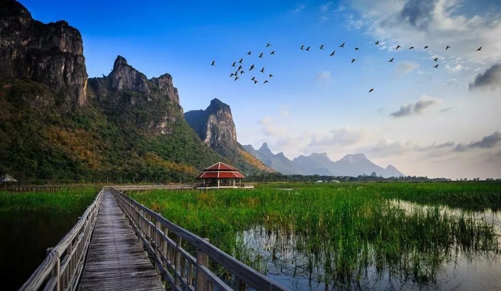 湖北千木靈芝最新動(dòng)態(tài)，自然美景的探索之旅，尋找內(nèi)心的平和與和諧