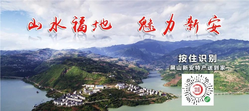 四川宜賓新任領(lǐng)導(dǎo)公示，啟程探索自然美景，尋求內(nèi)心平和寧?kù)o之旅