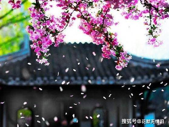 警惕非法網(wǎng)站，探索自然美景的正確途徑