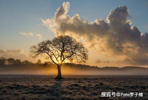 癡荊最新，自然美景之旅，探尋內(nèi)心平和與喜悅的旅程