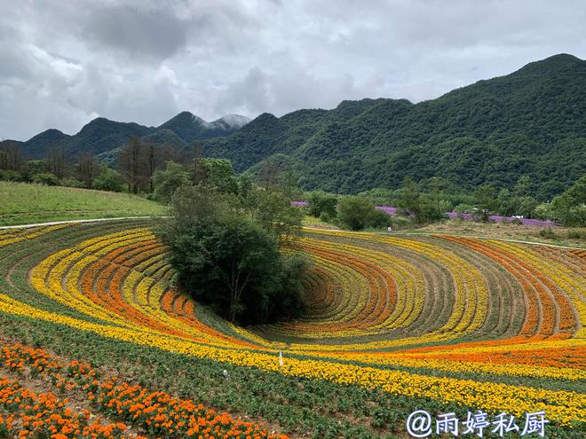 中科昊泰最新動態(tài)，探索自然美景之旅，尋求內(nèi)心平和寧靜的旅程