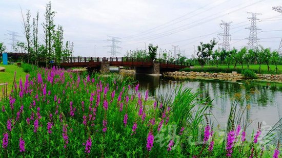 無錫錫東新城最新動態(tài)，自然美景探索之旅，尋找內(nèi)心平和與寧靜的旅程