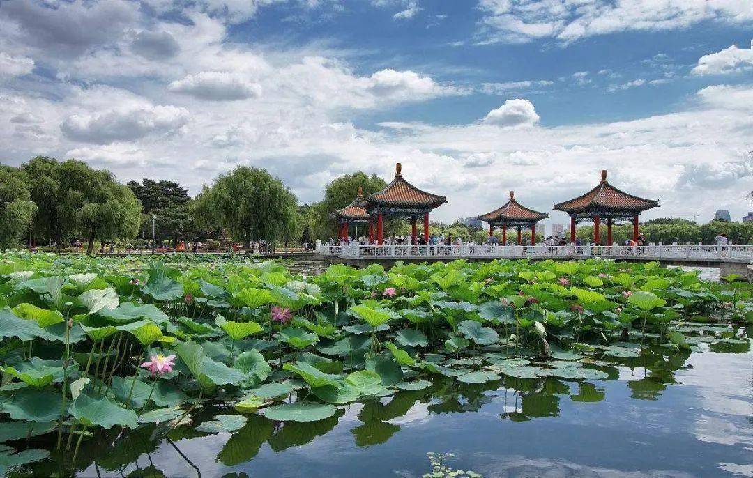寧波電視臺(tái)最新招聘，探索自然美景之旅，尋找內(nèi)心平和與寧?kù)o的伙伴