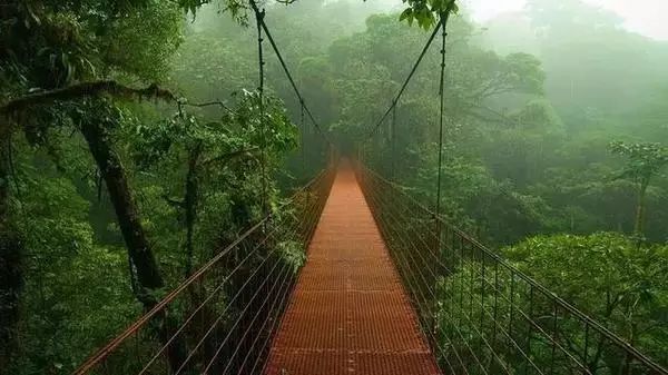 自然美景探索之旅 第5頁