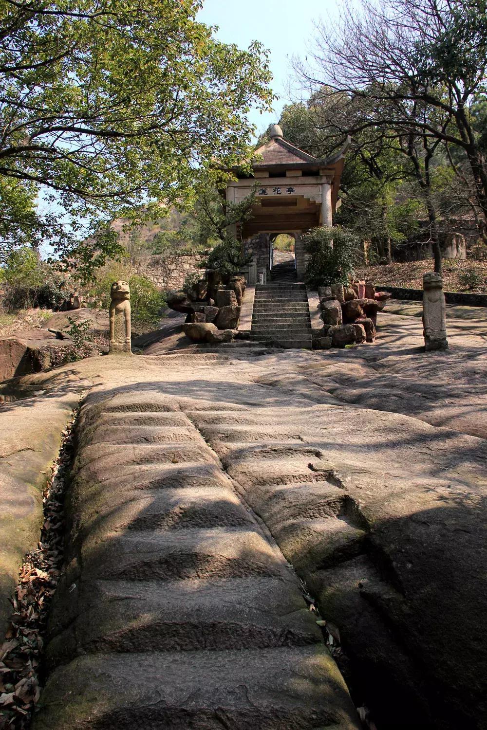 升興股份最新動(dòng)態(tài)，自然美景探索之旅的心靈洗滌與提升體驗(yàn)