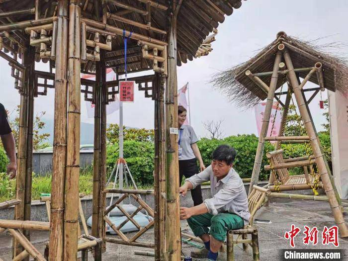 深圳地鐵12號線最新動態(tài)，啟程探索自然美景之旅