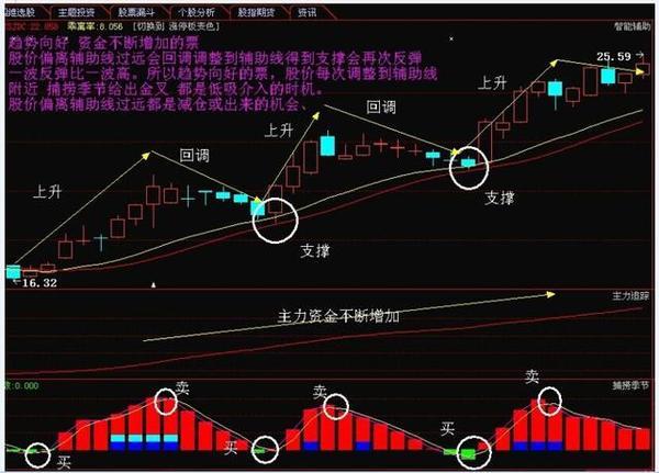 王子新材最新股票動態(tài)，自然美景的探索之旅啟程！