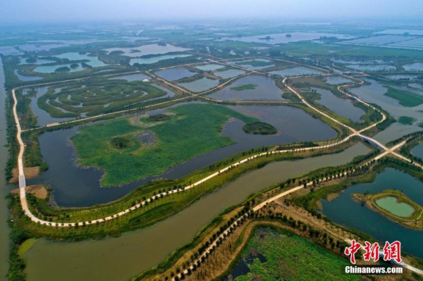 杭州白馬湖最新動態(tài)，自然美景之旅，探尋內(nèi)心寧靜與平和