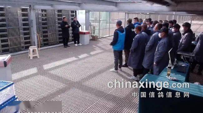 寶耐公棚最新公告，自然美景探索之旅邀請(qǐng)
