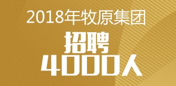 唐海最新招聘動(dòng)態(tài)，啟程探索自然美景，尋求內(nèi)心平和與寧?kù)o