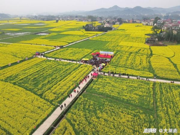 湖南益陽桃江最新新聞熱點解析與觀點闡述