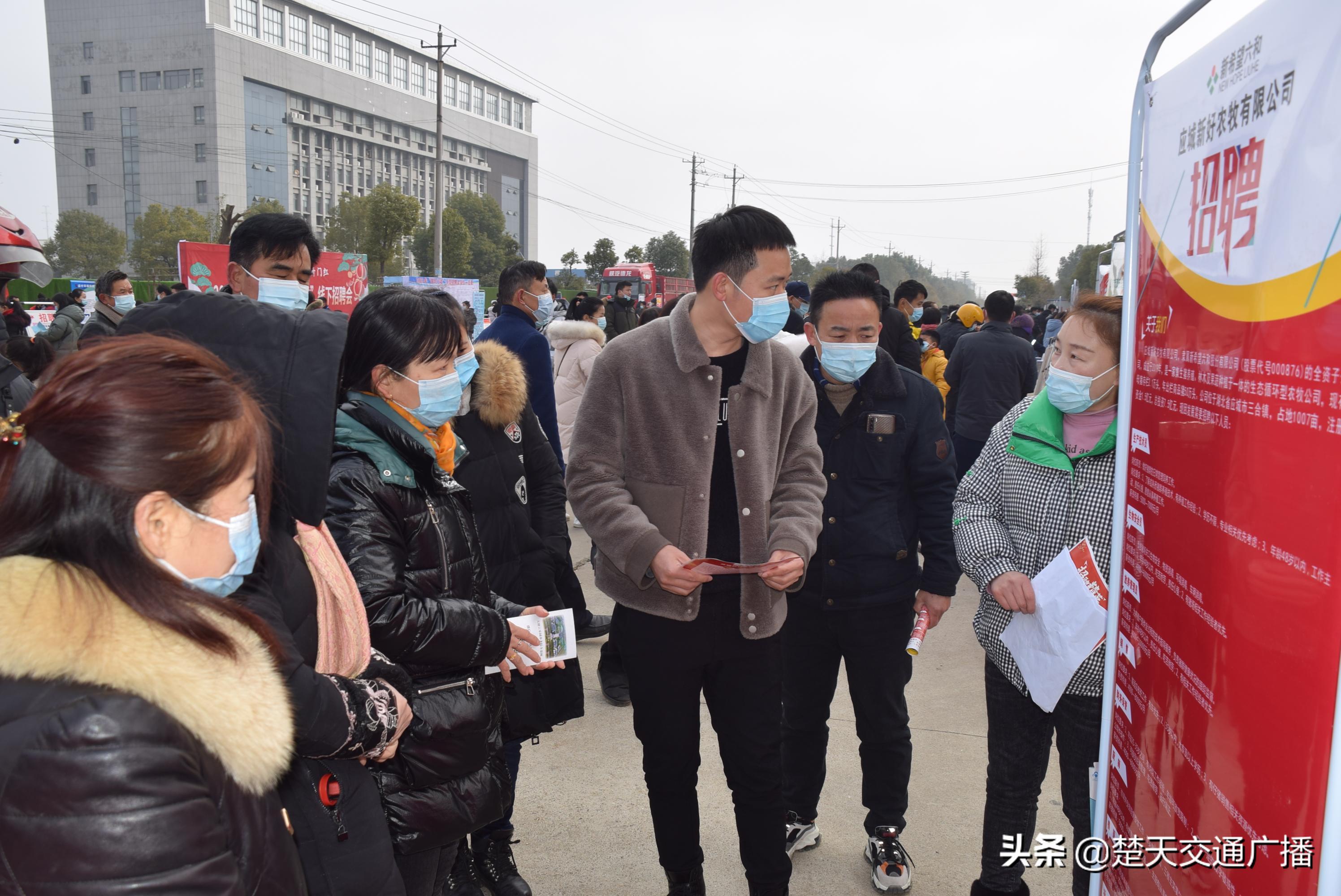 應(yīng)城工廠最新招聘信息全攻略，獲取指南與指南詳解