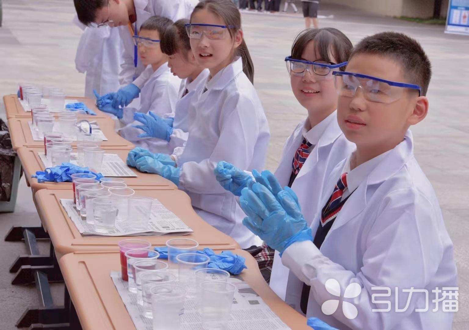 最新種子搜索網(wǎng)站，開啟奇妙的種子探索之旅