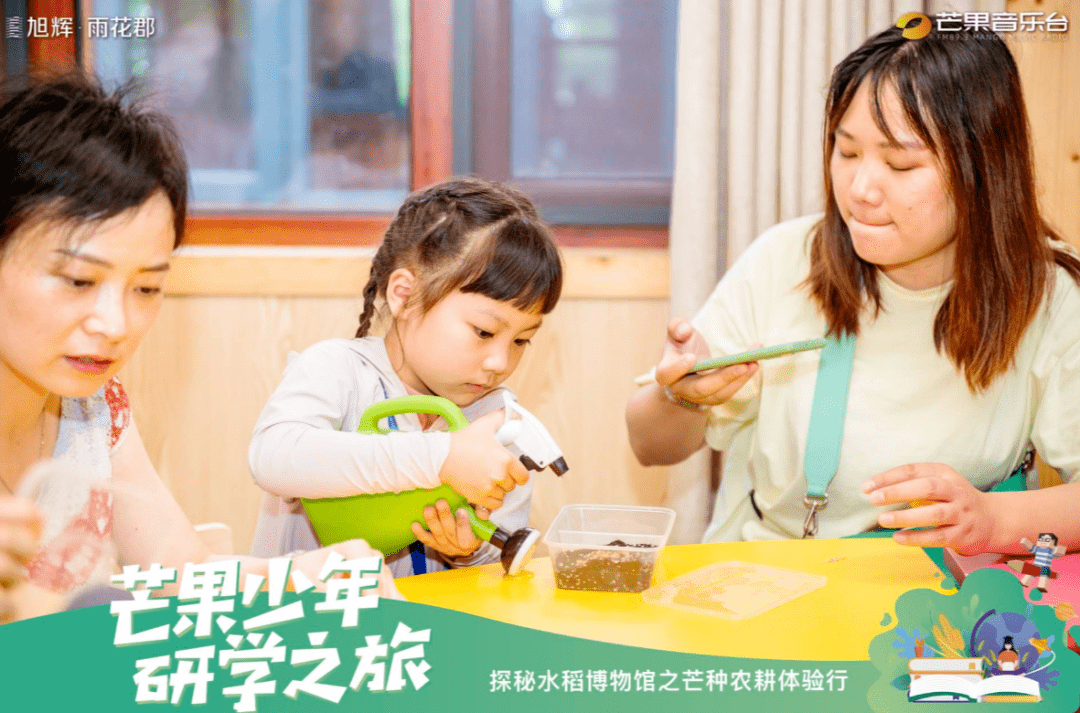 狂神最新章節(jié)，學(xué)習(xí)之旅的蛻變與自信成就感的崛起
