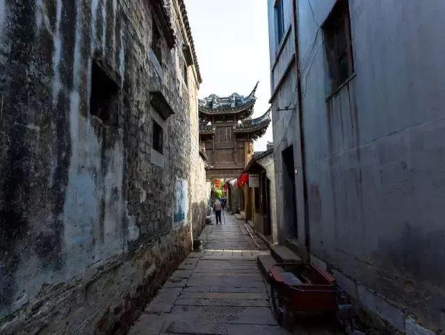 最新國際日，小巷深處的獨特風味探秘之旅