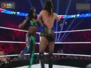 WWE 2014最新賽事，自然之旅與內(nèi)心的寧靜尋找