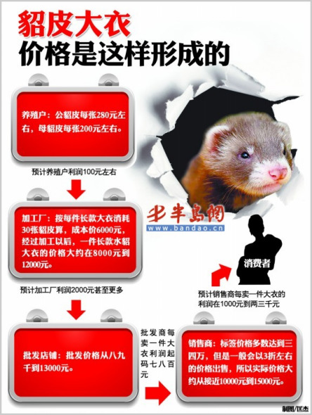 最新水貂價格，蛻變的力量與學(xué)習(xí)的魅力