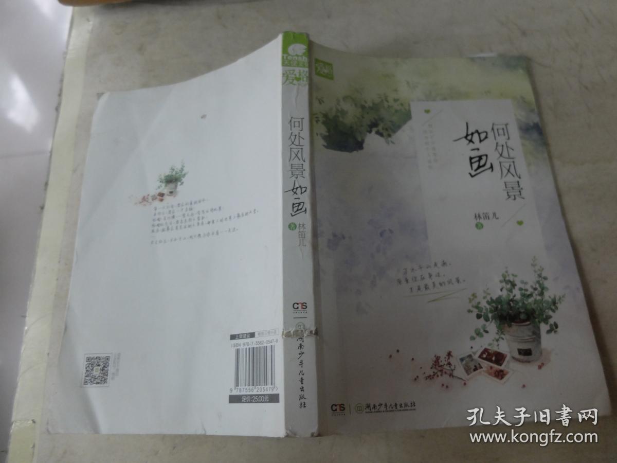 林笛兒最新小說，與自然美景的邂逅，探索內(nèi)心平和的旅程