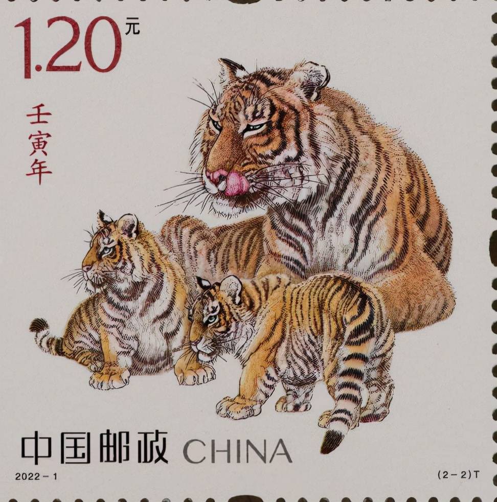 四虎最新地址探尋，網(wǎng)絡(luò)現(xiàn)象的時(shí)代回顧與探索