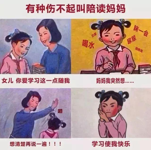 馭房有術(shù)最新章節(jié)深度解析與觀點(diǎn)闡述