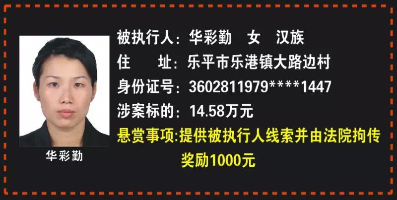 最新懸賞令，探索、挑戰(zhàn)與機遇的交匯點
