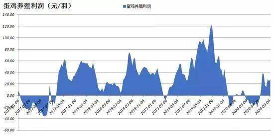 今日淘汰雞最新價格及其多元視角分析